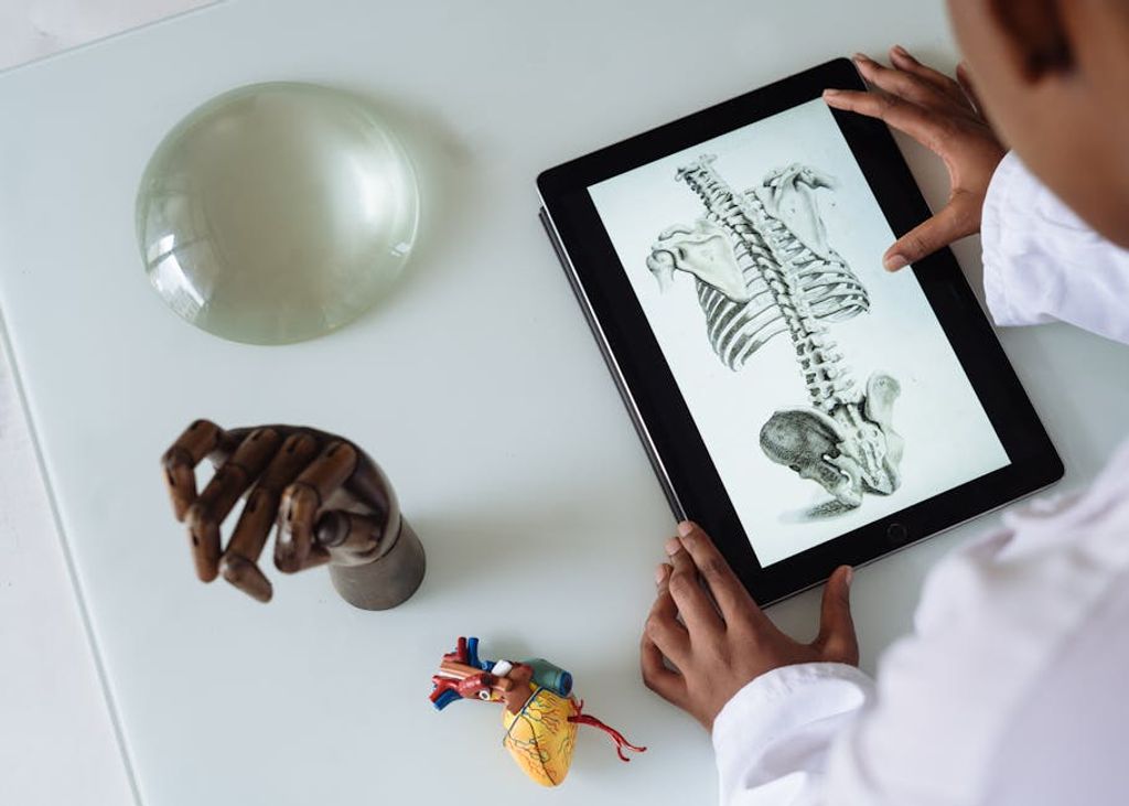 RF._.studio _ באתר PEXELS medical education Europe